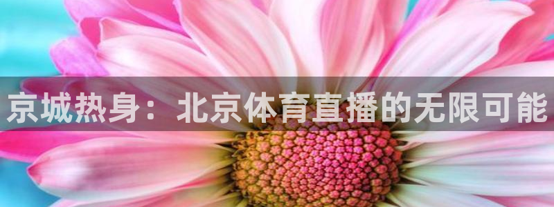 9255tv直播无插件nba：京城热身：北京体育直播的无限可能
