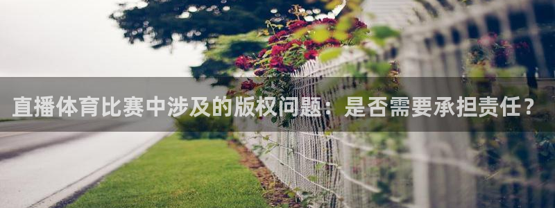 9255tv直播无插件nba：直播体育比赛中涉及的版权问题：是否需要承担责任？