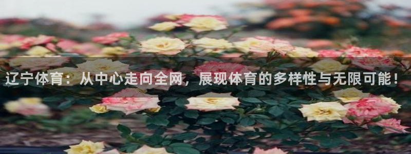 9255tv直播nba在线直播：辽宁体育：从中心走向全网，展现体育的多样性与无限可能！
