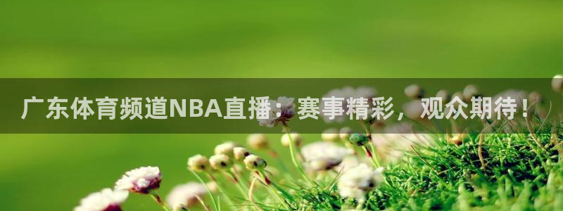 9255tv直播nba在线观看：广东体育频道NBA直播：赛事精彩，观众期待！