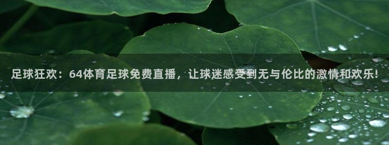 9255tv直播无插件nba：足球狂欢：64体育足球免费直播，让球迷感受到无与伦比的激情和欢乐!