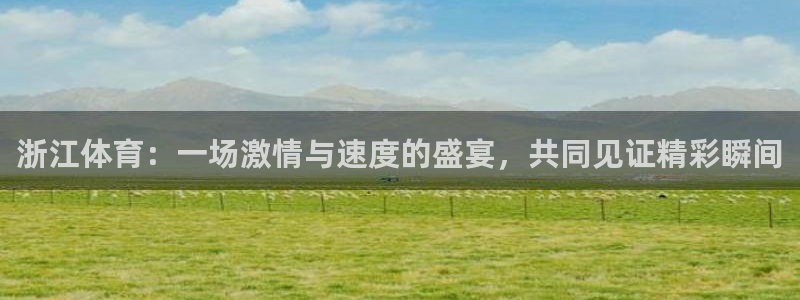 9255tv直播nba在线直播：浙江体育：一场激情与速度的盛宴，共同见证精彩瞬间