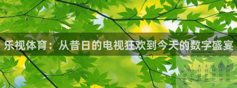 9255tv直播nba在线观看：乐视体育：从昔日的电视狂欢到今天的数字盛宴