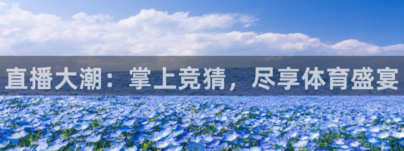 9255tv直播nba在线观看：直播大潮：掌上竞猜，尽享体育盛宴
