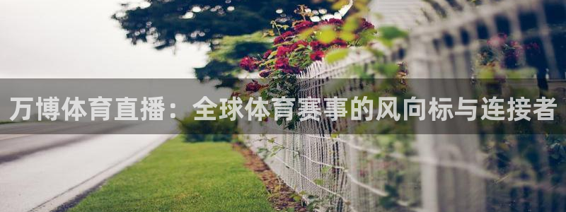 9255tv直播nba在线观看